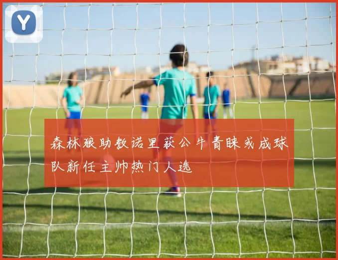 森林狼助教诺里获公牛青睐或成球队新任主帅热门人选